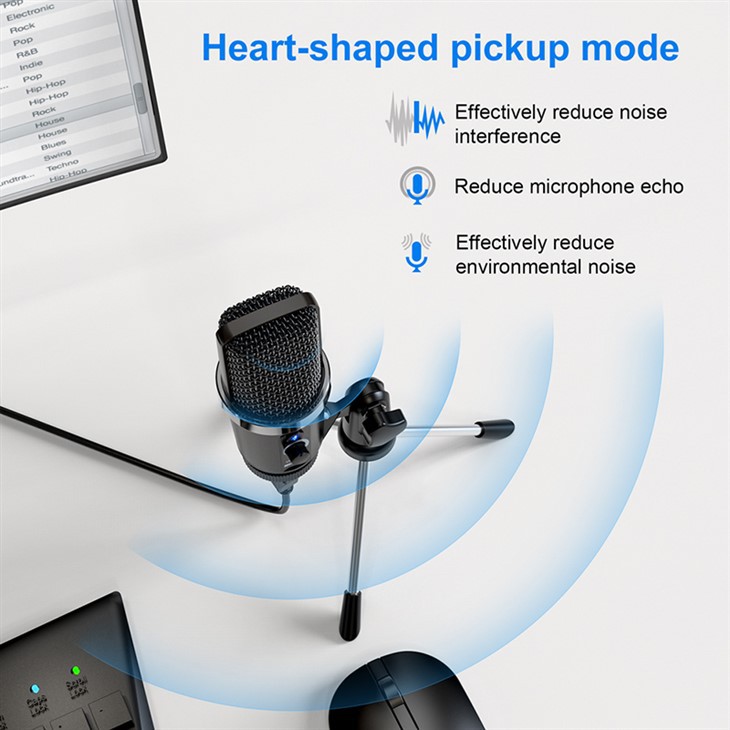 wired microphone